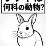 うさぎは何科の動物？ウサギ目ウサギ科の特徴と他の動物との違いをやさしく解説