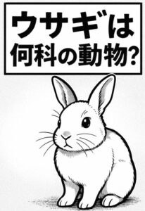 うさぎは何科の動物？ウサギ目ウサギ科の特徴と他の動物との違いをやさしく解説