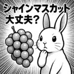 うさぎはシャインマスカットを食べても大丈夫？糖分と皮の注意点・安全な与え方を解説