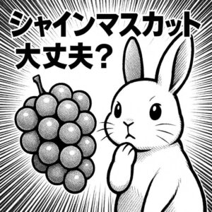 うさぎはシャインマスカットを食べても大丈夫？糖分と皮の注意点・安全な与え方を解説