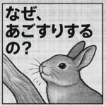 うさぎがあごすりする理由｜においづけと縄張りアピールの意味を解説