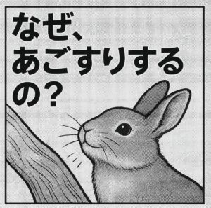 うさぎがあごすりする理由｜においづけと縄張りアピールの意味を解説