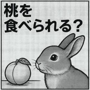 うさぎは桃を食べられる？安全な与え方と注意したい種・皮の危険性をやさしく解説
