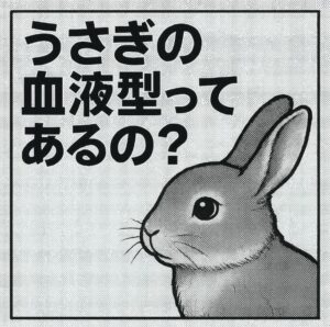 うさぎの血液型ってあるの？A型・B型・O型とは違う独自の分類を解説