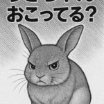 うさぎがムカつくような態度をとるときの心理｜ストレスサインを見逃さない