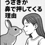 うさぎが鼻で押してくる理由｜つんつん行動に隠された気持ちとは