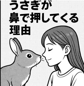 うさぎが鼻で押してくる理由｜つんつん行動に隠された気持ちとは