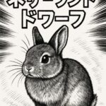ネザーランドドワーフとは？小さなうさぎが持つ性格・魅力・歴史を完全ガイド！
