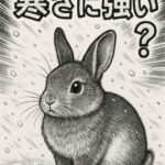 うさぎは寒さに強い？冬の適温とエアコンなしで暖める6つの工夫