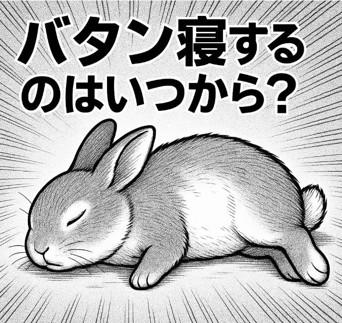 うさぎがバタン寝するのはいつから？リラックスサインの見分け方