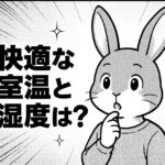 うさぎが快適に過ごせる室温と湿度とは？季節ごとの理想環境と調整のコツ