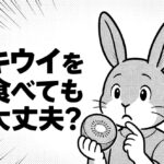 うさぎはキウイを食べても大丈夫？皮や種の安全性と与える量の目安をやさしく解説