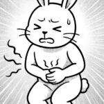 うさぎのお腹が痛いときのポーズとは？体勢で見抜く体調サインと注意点