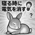 うさぎは寝る時に電気を消すべき？暗さと安心感の関係を解説