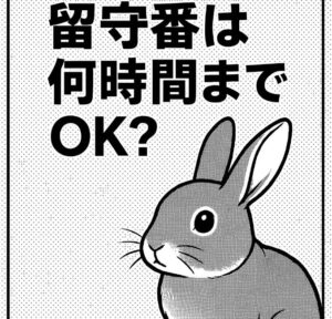 うさぎの留守番は何時間までOK？安心して外出するための準備と注意点