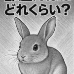 うさぎの部屋んぽはどれくらいが理想？運動量の目安と注意すべきポイントを解説