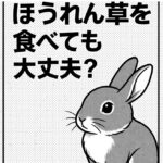 うさぎはほうれん草を食べても大丈夫？安全な与え方とあげすぎ注意の理由を解説