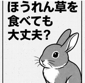 うさぎはほうれん草を食べても大丈夫？安全な与え方とあげすぎ注意の理由を解説