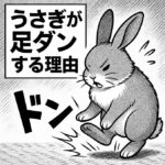 うさぎが足ダンする理由｜怒り・不安・警戒のサインを読み解く