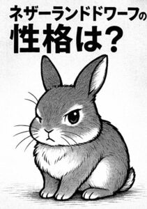 ネザーランドドワーフの性格とは？ツンデレだけど甘えん坊な魅力を徹底解説