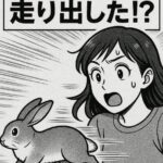 うさぎが走り回る理由｜テンションMAXのときに見せる行動パターン
